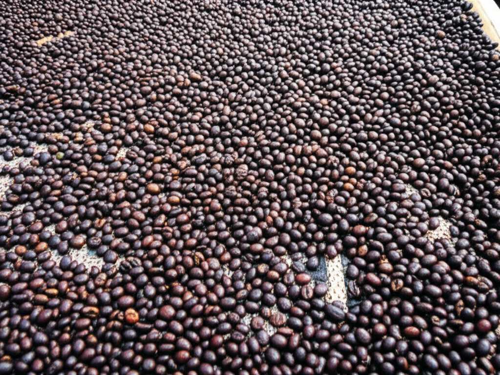 El Arte del Tueste: Perfeccionando el Sabor